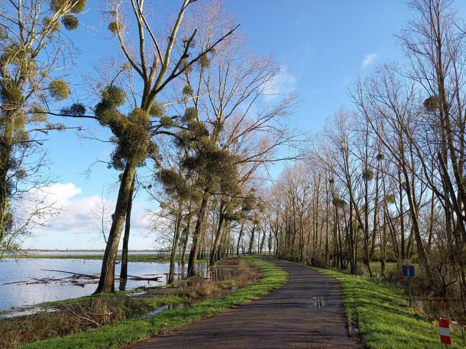 Lac Grand Lieu : Maisonnette Au Calme Avec Jardin Saint-Lumine-de-Coutais Buitenkant foto
